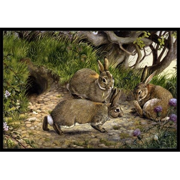 Carolines Treasures BDBA0136JMAT Rabbits & the Rabbit Hole Indoor or Outdoor Mat; 24 x 36 BDBA0136JMAT - main